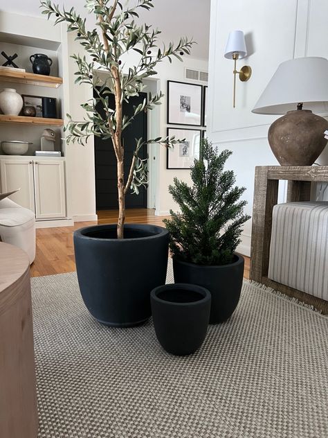 Favorite Concrete Planters Styled Two Ways - Chronicle in the Pines Modern Planters Outdoor, Decorating Rules, Console Table Decorating, Concrete Color, The Pines, Planter Ideas, Citrus Trees, Modern Planters, Tree Shop