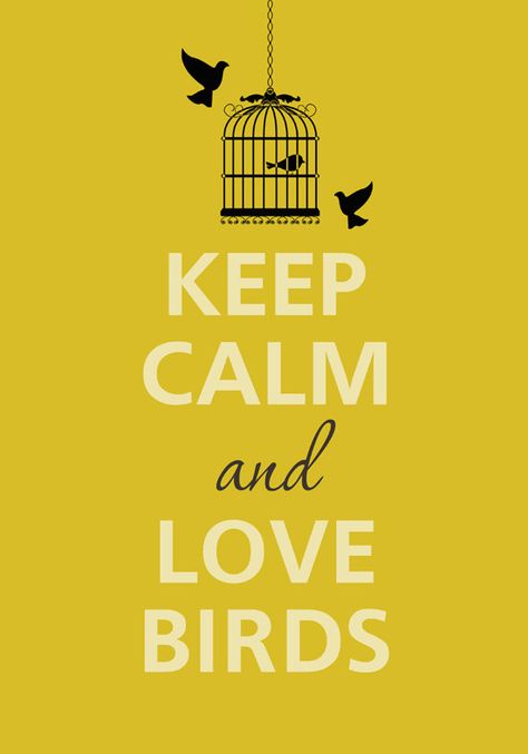 Keep calm and love birds by Agadart on Etsy Quotes For Birds, Bird Lover Quotes, Keep Calm Funny, Calm Sayings, Nature Printables, Birds Pet, Keep Calm Signs, Keep Calm Posters, Bird Quotes