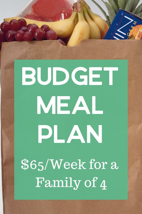 Budget Meal Plan: $65/Week for a Family of 4 :: Southern Savers Budget Meal Planning Healthy, Budget Meal Planning Families, Dieting Foods, Paleo On A Budget, Vegan Budget, Lunch On A Budget, Meal Plan Grocery List, Healthy Budget, Budget Family Meals