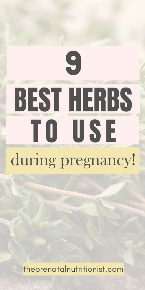 A quick and easy overview of safe herbs and herbs to avoid during pregnancy. Also some tips for adding herbs to your diet while pregnant. #herbsduringpregnancy #pregnancysafeherbs #herbsforpregnancy #tipsforherbsduringpregnancy Herbs For Morning Sickness, Herbs Safe For Pregnancy, Herbs To Avoid During Pregnancy, Herbs For Pregnant Women, Cold While Pregnant, Spices Health Benefits, Herbs For Pregnancy, Pregnancy Herbs, Liver Herbs