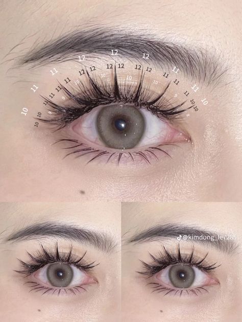 Monolid Lash Map, Eyelash Map, Anime Lashes, Lash Map, Lash Mapping, Eyes Lashes, Braids With Curls, Lashes Makeup, Eyelash Extensions