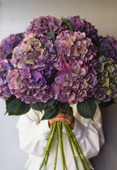 Flower Catalog, Navy Wedding Flowers, Peonies And Hydrangeas, Boquette Flowers, Hydrangea Purple, Flower Centerpieces Wedding, Beautiful Flower Arrangements, Big Flowers, Flower Centerpieces