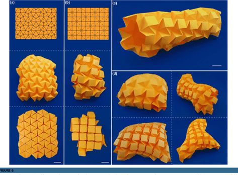 Scale Bar, Origami Architecture, Origami Diagrams, Paper Architecture, Origami And Kirigami, Paper Engineering, Origami Patterns, Folding Origami, Modular Origami