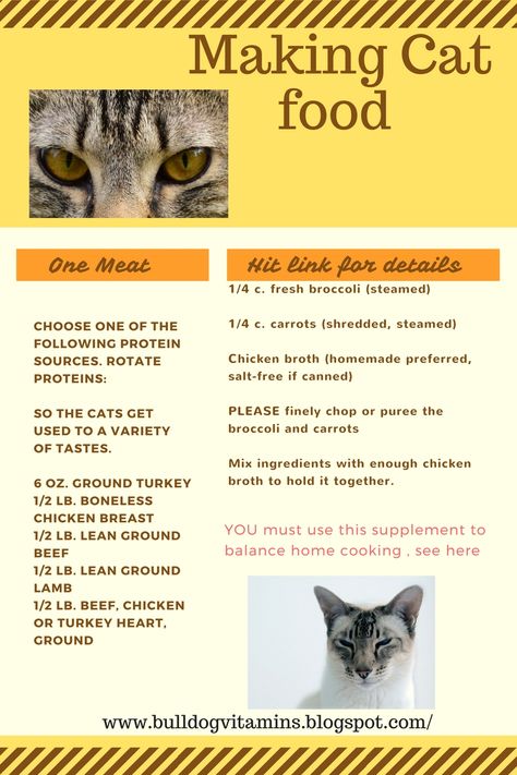 Making cat food recipe, free cat food recipes, healthy supplements for your cat,  http://bulldogvitamins.blogspot.com/2011/01/picky-dog-or-cat-i-have-sample-of-food.html Cat Food Recipes, Diy Cat Food, Healthy Cat Food, Raw Cat Food Recipes, Homemade Cat Food, Best Cat Food, Cat Nutrition, Food Dog, Homemade Cat