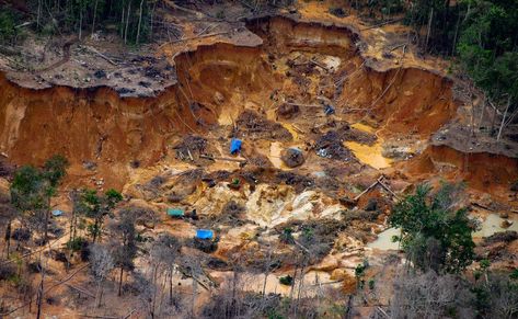 Gold rush fuels armed violence in Brazilian Amazon - BBC News Brazil Amazon, Gold Miners, Environmental Activist, Indigenous Community, Gold Mining, Aerial Photo, The Guardian, Some Pictures, Brazil