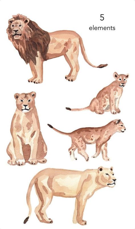 Illustrated Jungle: Watercolour Clipart Collection Jungle Clipart, Lion Clipart, Puppy Portraits, Lion Drawing, Cartoon Crazy, Lion Pride, Cat Clipart, Lion Cub, Cat Character