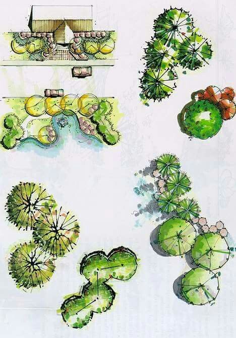 Landscape Architecture Plan Sketch, Landscape Design Drawings Plan, Garden Sketch Drawing, Landscape Architecture Portfolio, Landscape Architecture Plan, Landscape Design Drawings, Architecture Drawing Sketchbooks, Landscape Architecture Drawing, Architecture Drawing Plan