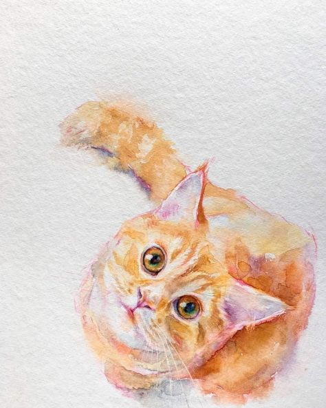 Cat Sketch, Watercolor Painting Techniques, Watercolor Flower Art, Watercolor Cat, Cat Portrait, Watercolor Sketch, Watercolour Art, Amazing Art Painting, Painting Art Projects