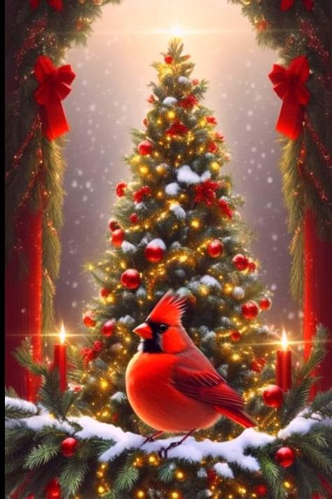 Cardinal bird lover | It's Christmas all you're around especially with the red Cardinal. Red Cardinals, Cardinal Christmas, Diy Crafts Bookmarks, Christmas Cardinals, Wallpaper Disney, Cardinal Bird, Sublimation Projects, Christmas Bird, Navidad Diy