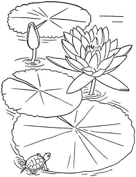 Printable Flower Coloring Pages, Colouring Sheets, Printable Adult Coloring Pages, Pola Sulam, Lotus Flowers, Flower Printable, Flower Coloring Pages, The Pond, Water Lily