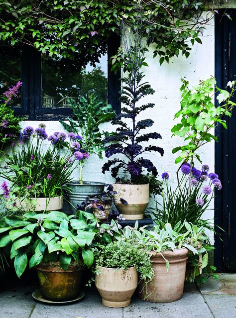 How to make a small garden look bigger – 25 simple ideas | Real Homes Lake Garden, Small Courtyard Gardens, Have Inspiration, Garden Containers, Backyard Garden Design, Small Garden Design, Decor Minimalist, Garden Cottage, Small Gardens