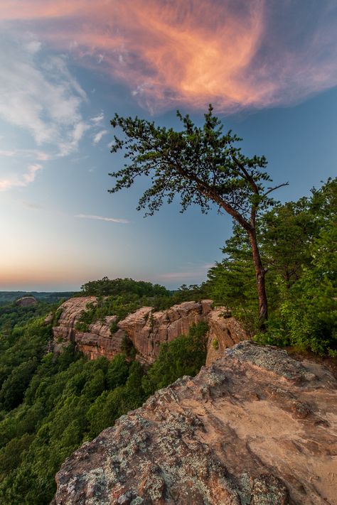 Red River Gorge Kentucky Things To Do, Lehigh Gorge State Park, Red River Gorge Kentucky Hiking, Cades Cove Photography, Red River Gorge Kentucky Camping, Royal Gorge Bridge, Red River Gorge Kentucky, Daniel Boone National Forest, Sunset Images