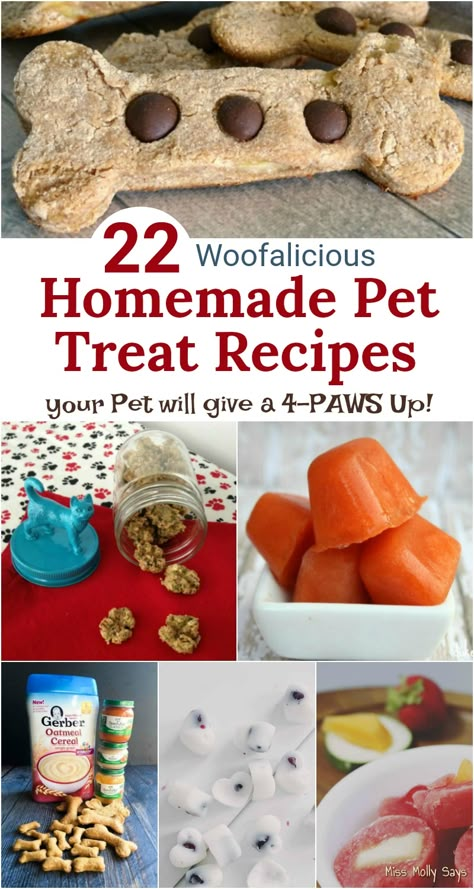 Homemade Dog Cookies, Homemade Pet Treats, Pet Treats Recipes, Homemade Cat Food, Dog Treats Homemade Easy, Easy Dog Treat Recipes, Frozen Dog Treats, Dog Biscuit Recipes, Easy Dog Treats