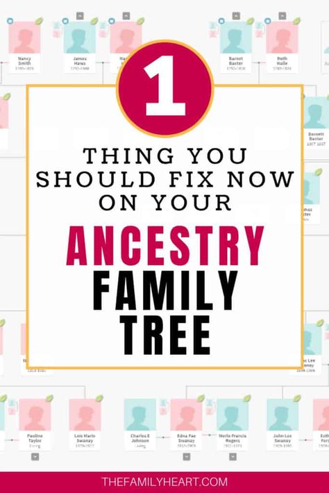 Whether you realize it or not, you may be doing this one, unhelpful thing on your Ancestry family tree. Here's how to fix it right now! Ancestry Tips, Free Genealogy Sites, Family Tree Maker, Family History Projects, Genealogy Organization, Irish Genealogy, Genealogy Help, Family Tree Research, Genealogy Websites