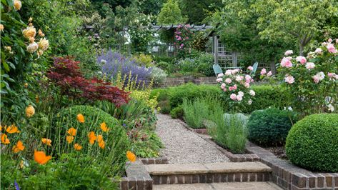 Get the Look: English Cottage Garden (Zone: 8 – 11) – Grow Beautifully Small English Garden, Cottage English, Cottage Garden Roses, Rose Garden Landscape, Pergola Design, Cottage Garden Design, Cottage Garden Plants, Garden Shrubs, English Cottage Garden