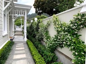 Narrow Planter Ideas, Small Hedges Border, Hamptons Gardens, Hamptons Front Garden, Belgian Fence, Garden Privacy Ideas, Hamptons Landscaping, Front Yard Hedges, Hedge Garden Design