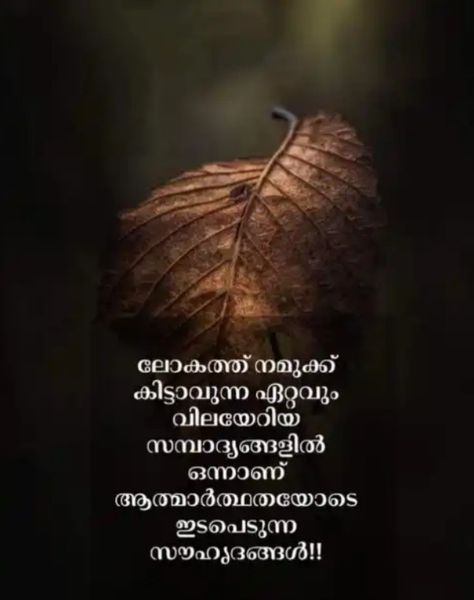 Malayalam Quotes Feelings, Osho Quotes On Life, Admissions Poster, Catholic Altar, Osho Quotes, Birthday Card Craft, Malayalam Quotes, Jesus Wallpaper, Cute Images With Quotes