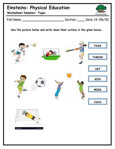 PE actions online worksheet for 1. You can do the exercises online or download the worksheet as pdf. English Past Papers, Action Verbs Worksheet, Sport English, Physical Education Activities, The Worksheet, Verb Worksheets, Student Guide, Action Verbs, Action Words