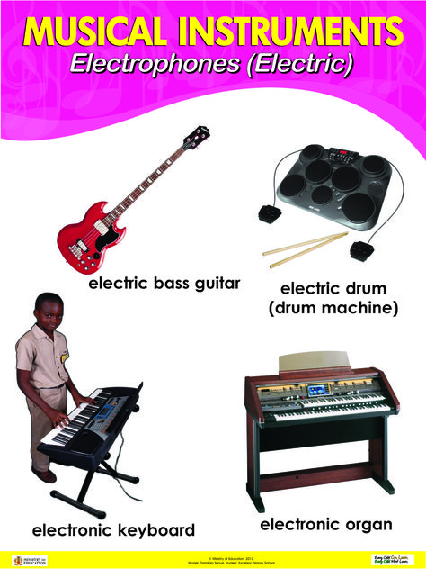 Electrophones or electric instruments Electric Instruments, Music Learning, Drum Machine, Music Lessons, Music Stuff, Bass Guitar, Reptiles, Musical Instruments, Subjects