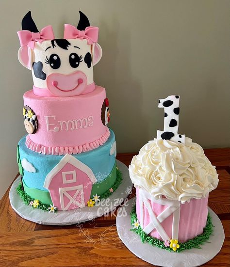 Cow Birthday Cake, 21st Birthday Cupcakes, Barnyard Cake, Toddler Birthday Cakes, Care Bears Birthday Party, Cowgirl Cakes, Cow Birthday Parties, Cow Cakes