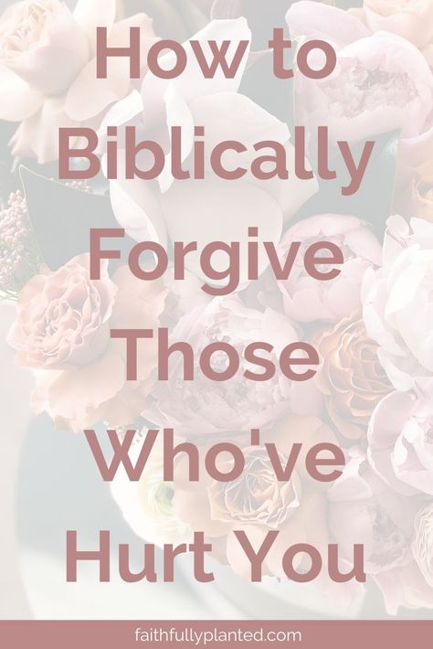 Have you struggled to understand how to obey the command to forgive others? Click here to learn some practical steps to Biblical forgiveness. #Bible #Scripture #Forgiveness Scripture Forgiveness, Biblical Forgiveness, Forgiveness Bible, Forgiveness Scriptures, Bible Forgiveness, Biblical Counseling, Divine Spirit, God Centered, Forgive Others