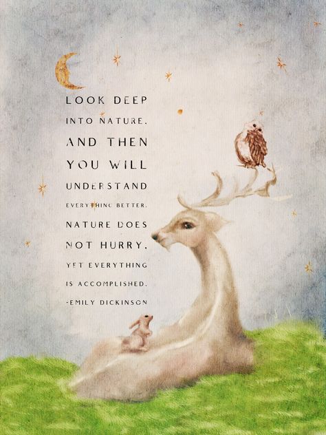 Quotes By Emily Dickinson, Rabbit Cottagecore, Cottagecore Quotes, Animal Poetry, Twilight Meadow, Deer Quotes, Thoughtful Tuesday, Cottagecore Artwork, Sia Music