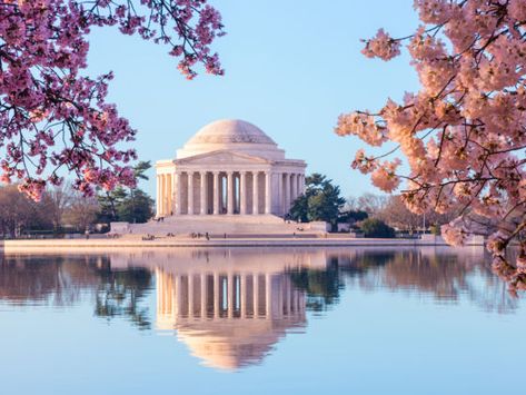 The best places to travel this April Jefferson Memorial, Flatiron Building, Porto Rico, Washington Monument, National Mall, Ghost Tour, Thomas Jefferson, Nova York, Best Places To Travel