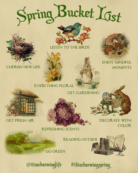 Spring Bucket List, Flowers Plants, Bucket List, Birds, Plants, Flowers, Green, White