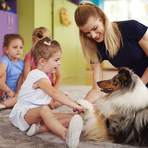 Therapy Dog Certification and Training: What You Need to Know | Petco Therapy Dog Aesthetic, Animal Therapy, Therapy Dog Training, Dog Behaviorist, Aesthetic Dream, Dog Sports, Emotional Support Dog, Therapy Dog, Dog Photoshoot