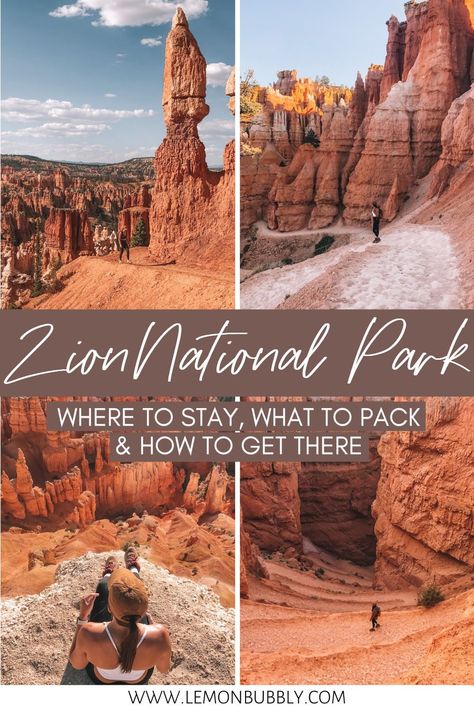 Zion Hikes, Zion National Park Photography, Zion National Park Hikes, Zion Utah, Utah National Parks Road Trip, Zion Park, Utah Vacation, Zion Canyon, Escalante National Monument