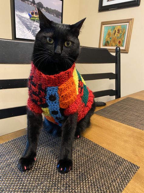 Cats With Sweaters, Crochet For My Cat, Cat Cardigan Crochet, Cardigan Harry Styles, Harry Styles Cardigan, Gatos Cool, Large Cats, Cat Clothes, Crochet Cat