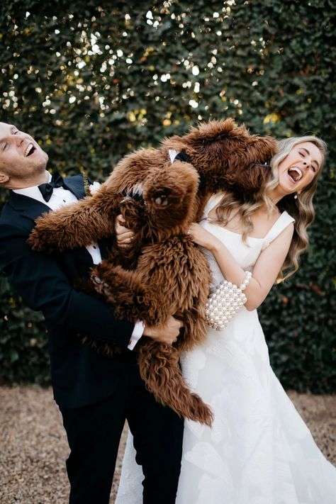 CHARLOTTE & JAROD’S SOUTH AUSTRALIAN WEDDING – Hello May Florist Studio, Dog Brand, Australian Wedding, Good Dog, Wedding Pets, Melbourne Wedding, Future Wedding Plans, Groom Photo, Bride Gowns