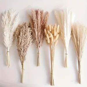 Temu | Explore the Latest Clothing, Beauty, Home, Jewelry & More Moon 2024, White Pampas, Grass Bouquet, Pampas Grass Bouquet, Rustic Party, Dried Pampas, Pampas Grass Decor, Grass Wedding, Bunny Tails