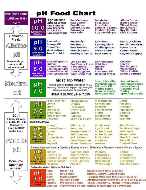 pH Food Chart  Print it out and put on your wall - @Jessica Spillane Ph Food Chart, Acid And Alkaline, Health Benefits Of Ginger, Food Chart, Ginger Benefits, Resep Diet, Food Charts, Alkaline Diet, Alkaline Foods