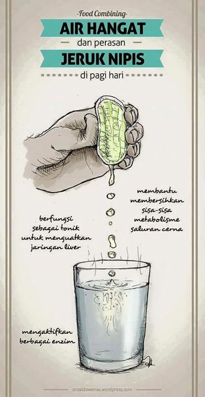 warm water + lime in the morning by Food Combining Indonesia Diet Sehat, Motivasi Diet, Health Guidelines, Resep Diet, Herbal Drinks, Healthy Diet Tips, Food Combining, Health Habits, Health Knowledge