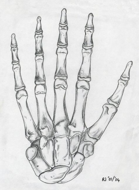 Skeleton hand drawing. Draw A Skeleton Hand, Draw A Skeleton, Skeleton Hands Drawing, Biomech Tattoo, Bone Drawing, Small Wave Tattoo, Skeleton Drawings, Skeleton Hand Tattoo, Human Anatomy Art