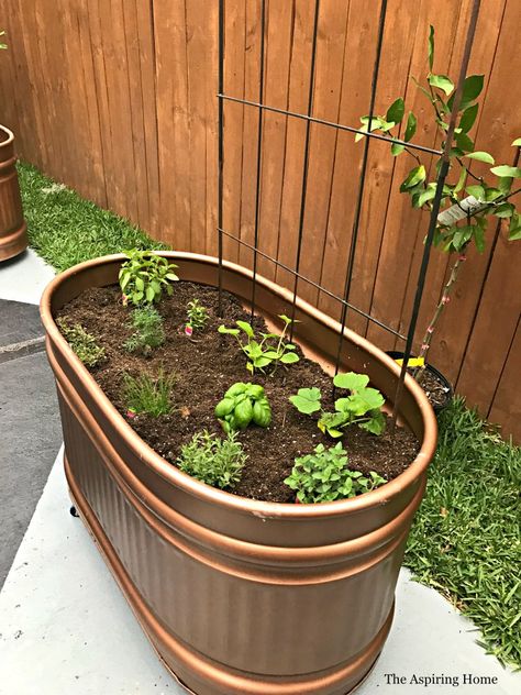 Horse Trough, Garden Troughs, Diy Container Gardening, Garden Escape, Planter Project, Trough Planters, Leafy Plants, Garden Arbor, Raised Planter