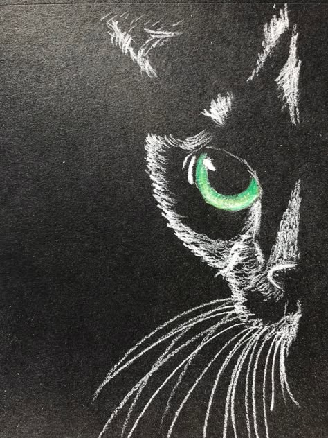 Cat Drawing On Black Paper, Cat Eye Embroidery, Drawing Ideas For Black Paper, Cat Eyes Drawings, Cat Eye Painting, Cat Eye Art, Drawings On Black Paper, Cat Eye Drawing, Black Cat Embroidery