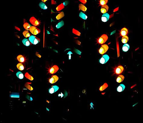 Chicken Photography, Light Tree, Traffic Lights, Web Traffic, Stop Light, Foto Art, Traffic Light, True Life, Tree Lighting