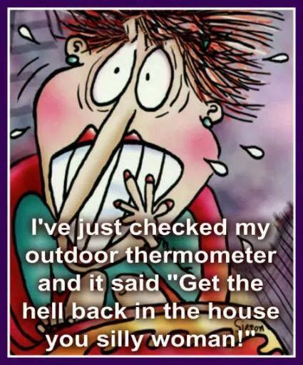 Hahahaha Its Freezing Quotes Cold Weather, Its So Cold Humor, It’s Cold Outside Funny, Cold Morning Quotes Funny, Good Night Cold Weather Quotes, Cold Days Quotes, Freezing Quotes, Freezing Cold Humor, Its Cold Outside Funny