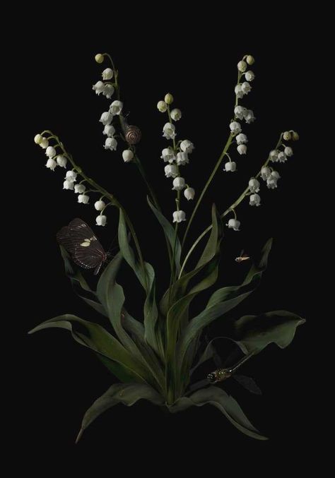 Botanical Aesthetic, Dark Botanical, Midnight Garden, Deep Winter, Season Of The Witch, Dark Floral, Office Art, Autumn Garden, Flower Child