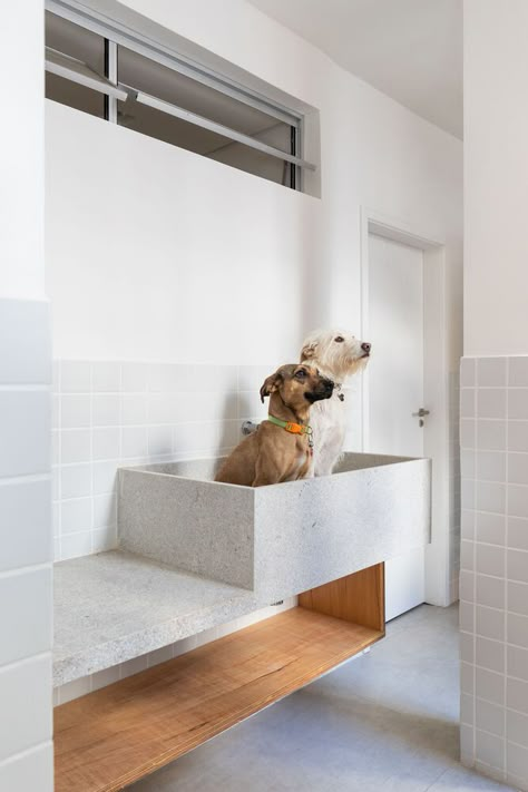 Dog Room Design, Pet Washing Station, Gear Room, Dog Washing Station, Dog Hotel, Puppy House, Pet Spaces, Dog Cafe, Art Deco Bathroom