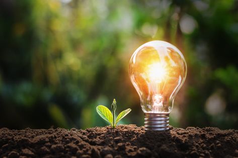 Lightbulb with small plant on soil and sunshine. concept saving energy in nature Premium Photo Thermal Energy, Kinetic Energy, Fuel Cell, Clean Energy, Moving House, Small Plants, Renewable Energy, Premium Photo, Office Design