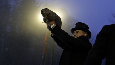 Groundhog Day Movie, Punxsutawney Phil, Chicago Photography, Today In History, Groundhog Day, Chicago Tribune, Executive Producer, Good Movies, History