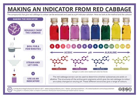 Red Cabbage Juice, 6th Grade Science Projects, Ph Indicator, Sixth Grade Science, Cabbage Juice, Chemistry Education, Chemistry Classroom, High School Chemistry, Teaching Chemistry