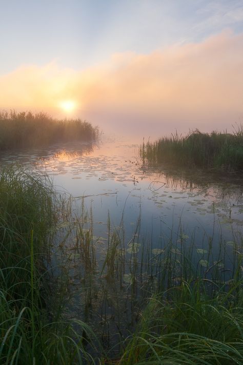 Misty Spring Morning, Morning Fog Aesthetic, Buddha Birth, Fog Aesthetic, Fog Landscape, River Aesthetic, Misty Sunrise, River Sunset, Autumn Lights