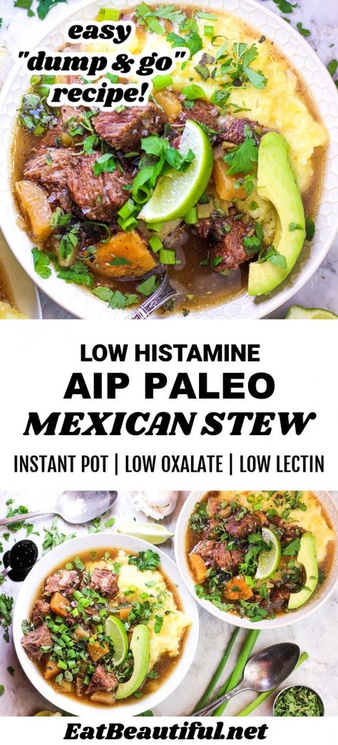 AIP Mexican Stew (Low Histamine, Low Oxalate, Low Lectin, Instant Pot) - Eat Beautiful Gaps Instant Pot Recipes, Low Histamine Aip Recipes, Spring Paleo Recipes, Aip Pork Recipes, Stampede Soup Recipe, Low Histamine Instant Pot Recipes, Instant Pot Paleo Recipes, Low Histamine Soup Recipes, Aip Beef Recipes