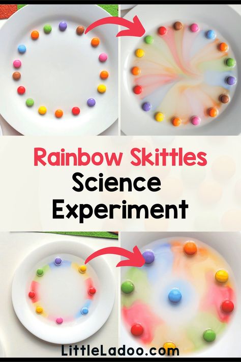 Skittles Rainbow Science Experiment for Kids Rainbow Week Activities, Grade 1 Science Experiments, Prek Science Activities, Rainbow Science, Prek Science Experiments, Rainbow Science Kindergarten, Rainbow Science Experiment, Skittle Experiment, Skittles Experiment For Kids