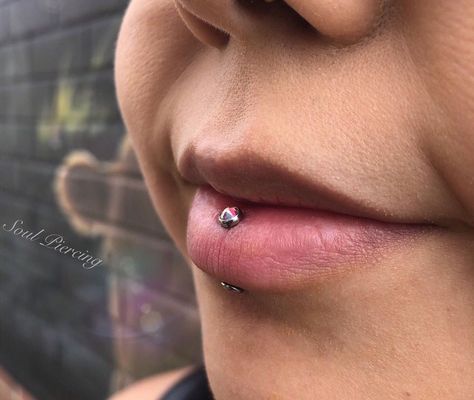 J.Guerre on Instagram: “This lovely client opted for an aurora borealis flat crystal upgrade to her vertical labret piercing (performed by me using astmf136 hand…” Vertical Labret Jewelry, Vertical Labret Piercing, Vertical Labret, Piercing Inspo, Labret Jewelry, Labret Piercing, Cute Piercings, Body Modifications, Aurora Borealis