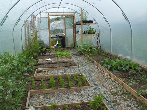 Polytunnel Ideas, Tunnel Garden, Flower Tunnel, Garden Tunnel, Serre Diy, Poly Tunnel, Simple Greenhouse, High Tunnel, Allotment Ideas